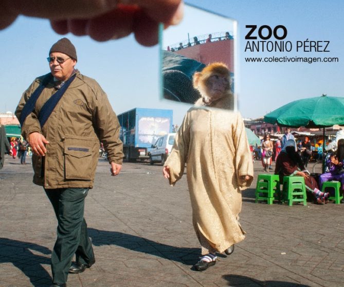 Zoo - Antonio Perez