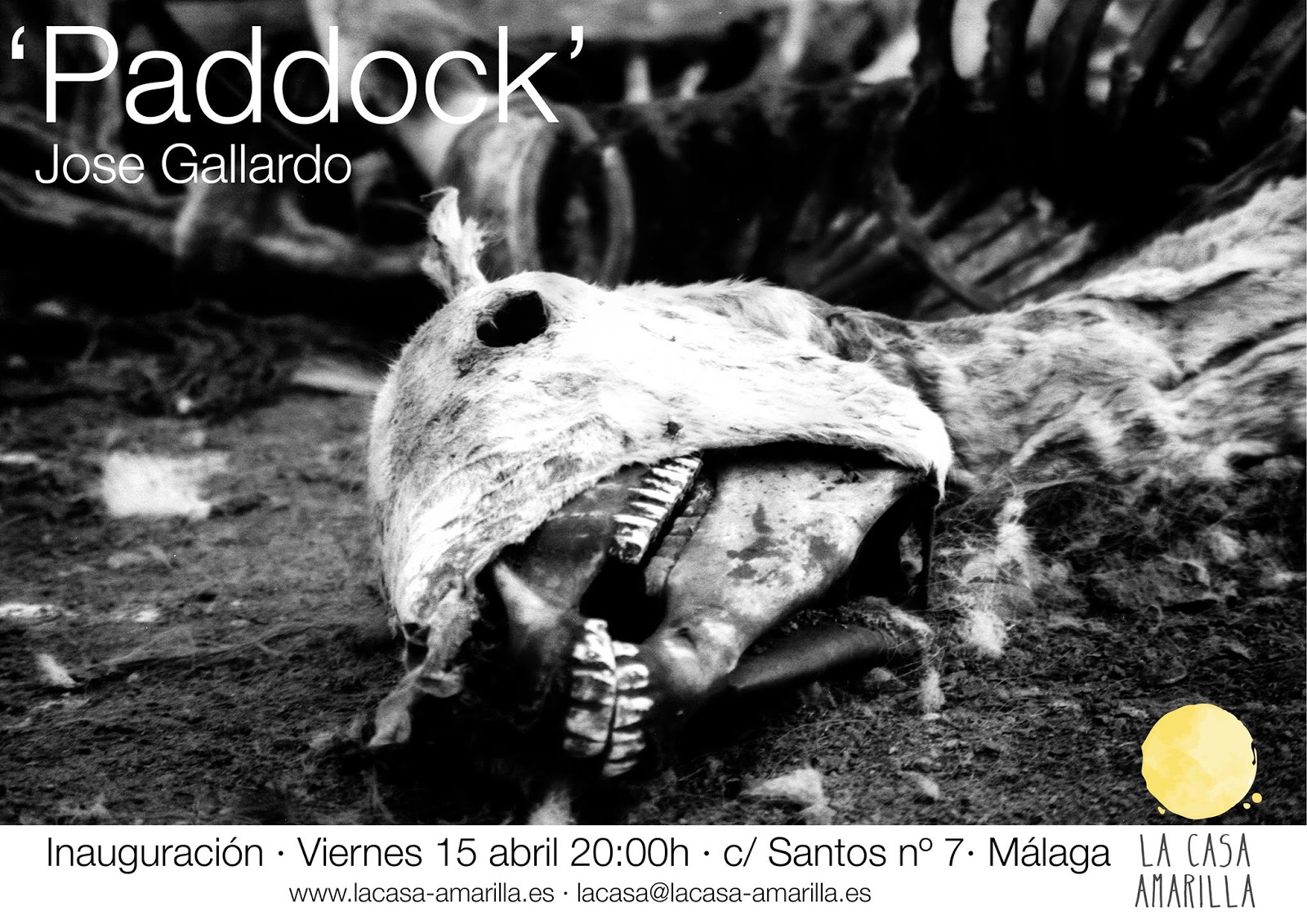 Paddock - José Gallardo
