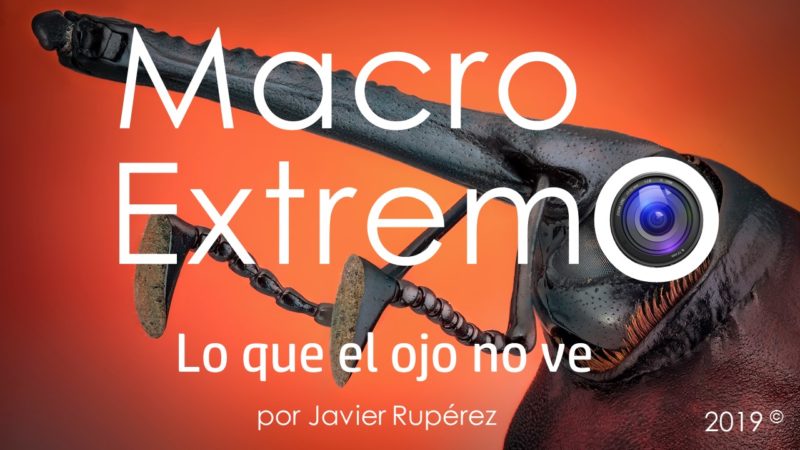Macro Extremo, Javier Rupérez